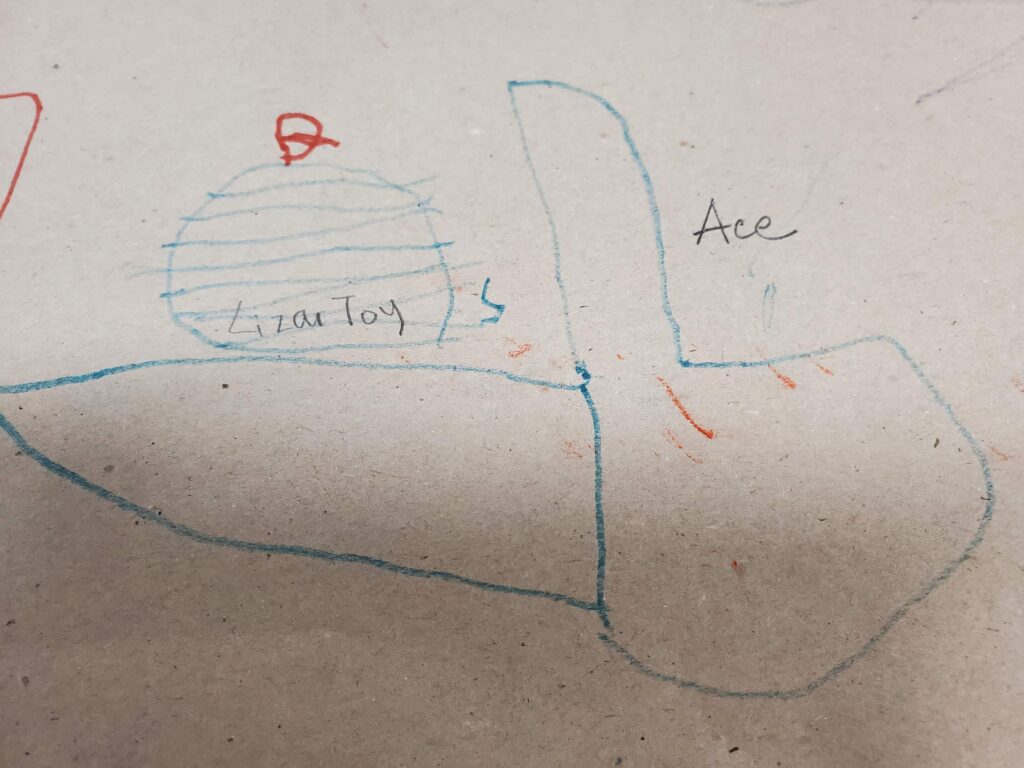 Ace, 4, British Columbia