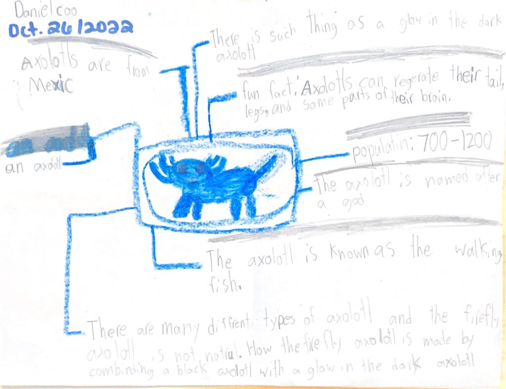 Daniel, 4, Ontario