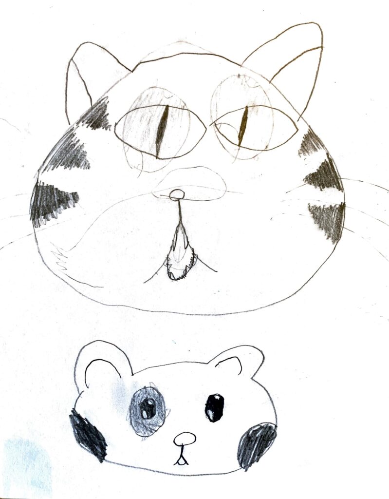 Collective Drawings, Ontario